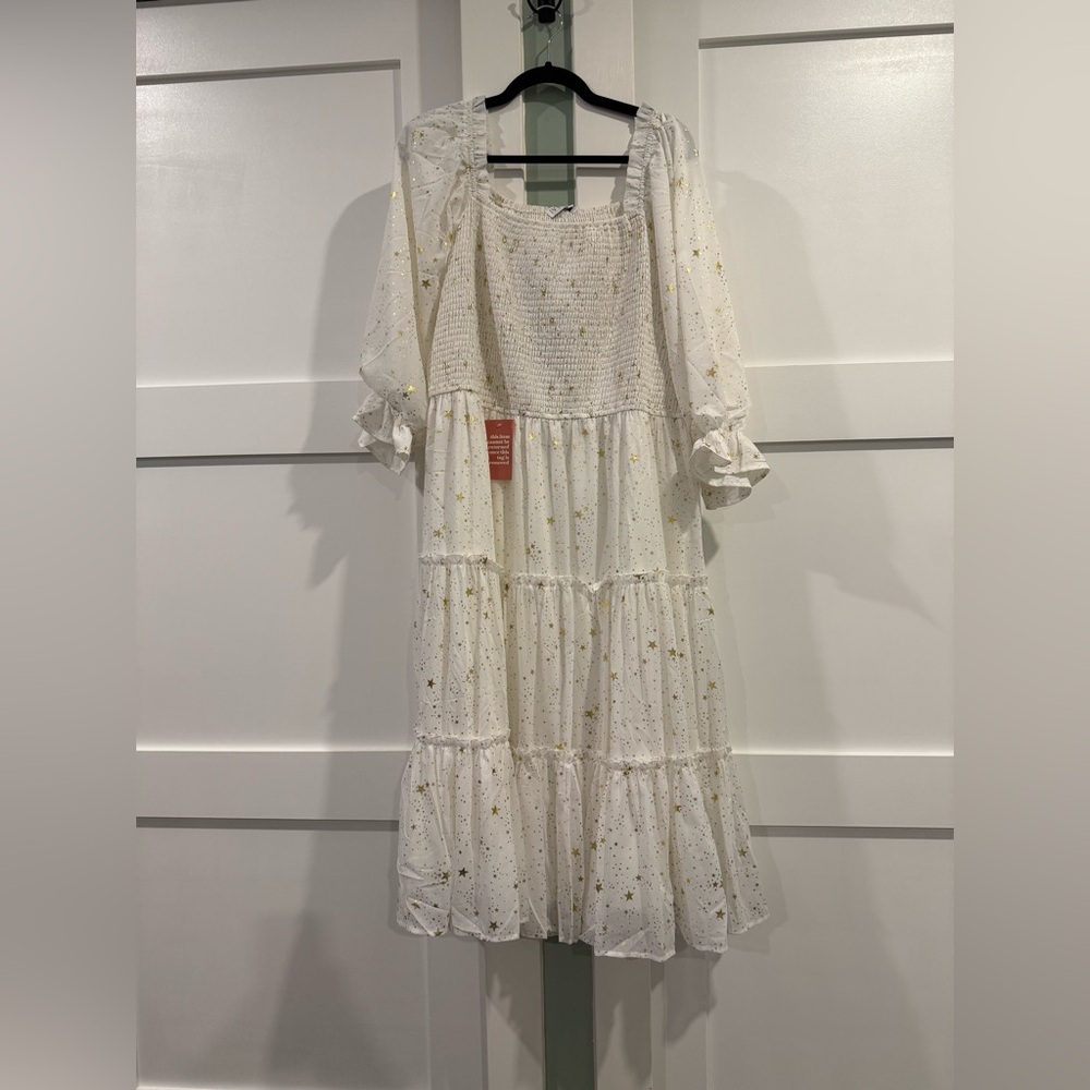 NWT Ivy City Co. midsummer nights dress white 2X